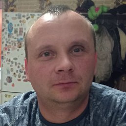 �������, ������, 41 ���