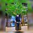 ���� Harun, ������, 35 ��� - ��������� 5 �������� 2023
