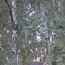 ���� ����, ������, 30 ��� - ��������� 5 ���� 2023