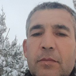 �����, ������, 45 ���