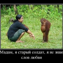 �����, ������������, 52 ����