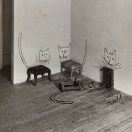 Suyunov_g, �����������, 25 ���