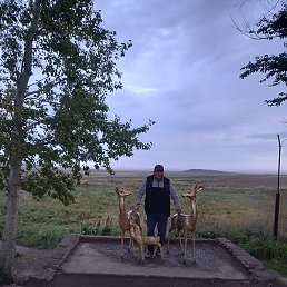 �����, ����, 37 ���