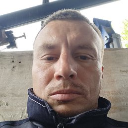 ����, �����-���������, 40 ���