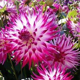 ���� �������, ���������, 64 ���� - ��������� 7 ������� 2023