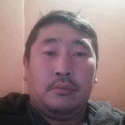 ������, ���������, 37 ���