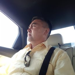 �����, ���������, 54 ����