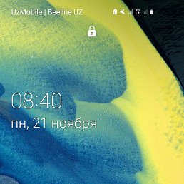 ����, �����, 41 ���