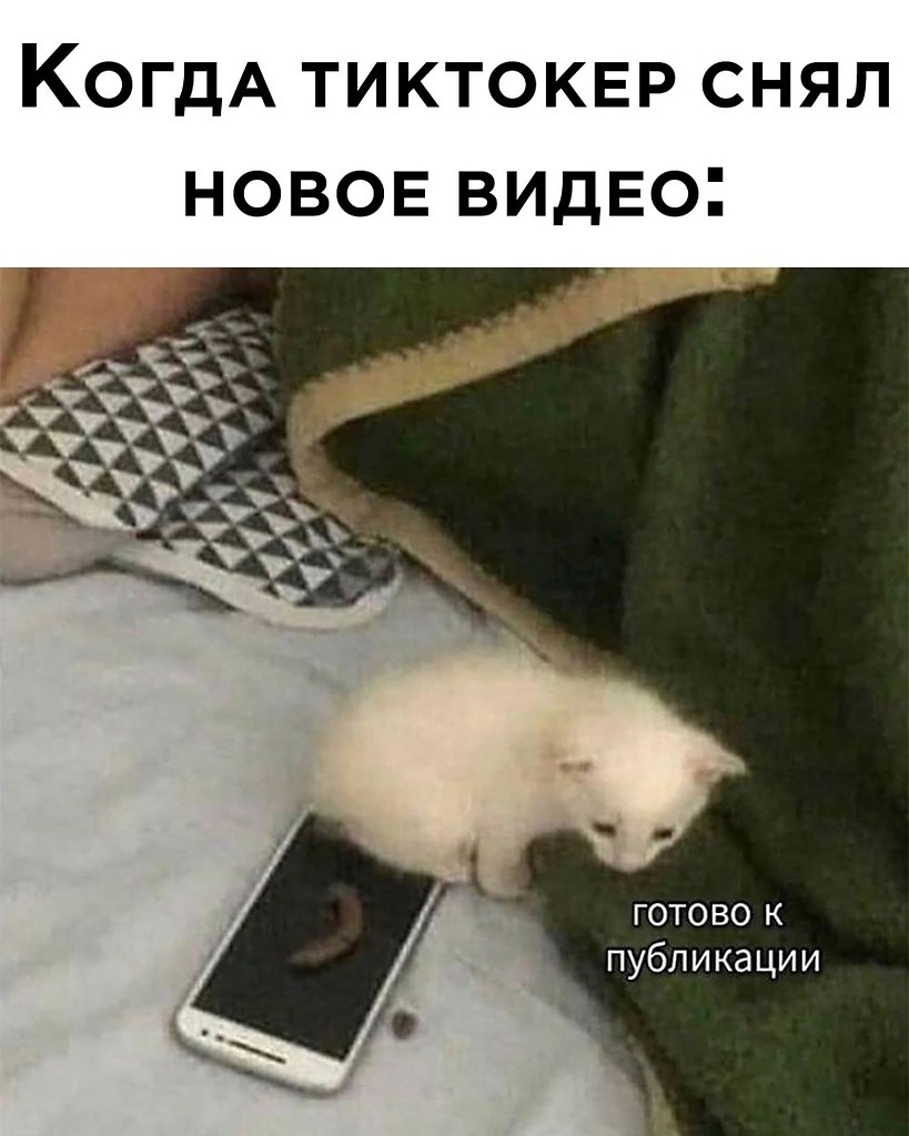 ☆ ☆ - 24  2023  13:36