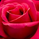 ���� Evi, ������ - ��������� 29 ������� 2023 � ������ ���� ����������