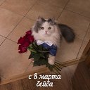 ���� �����, ���������, 54 ���� - ��������� 11 ����� 2023 � ������ ���� ����������