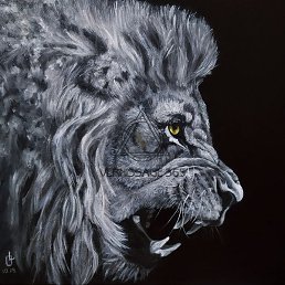  Alex, , 46  -  31  2023