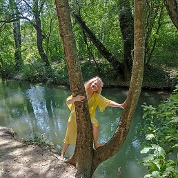 ���� �����, �����������, 64 ���� - ��������� 11 ������� 2023