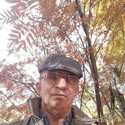 ���� ����, �����������, 62 ���� - ��������� 22 ������� 2023