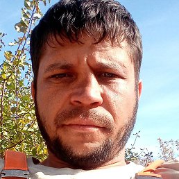 ������, ��������, 37 ���