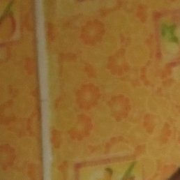 �����, �������, 55 ���