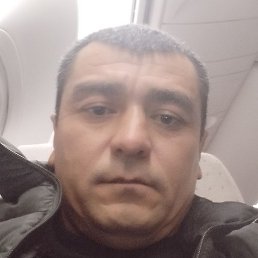 ������, ���, 41 ���