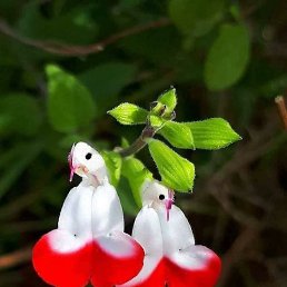 ���� ��������, �������, 57 ��� - ��������� 27 ����� 2023