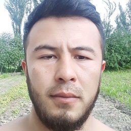 Anvar, �������, 28 ���