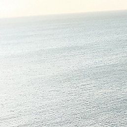 ����, ���������, 39 ���