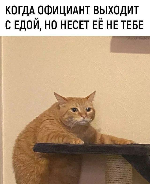    - 29  2023  08:11