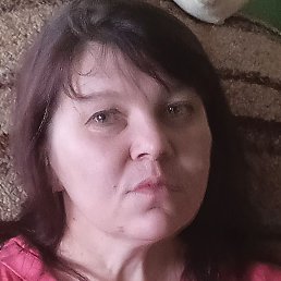 ����, �����������, 40 ���