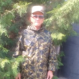 ������, ������, 65 ���