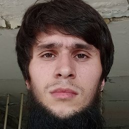 Alfa_95_, �����������, 29 ���