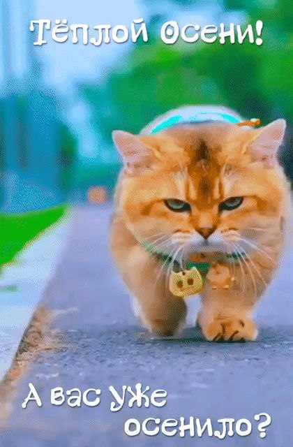 ***Victoria Viktorovna*** - 12  2023  04:07