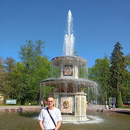 ����, �����-���������, 65 ���