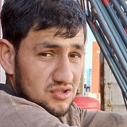 �����, �����������, 37 ���