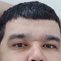 �����, ������, 40 ���