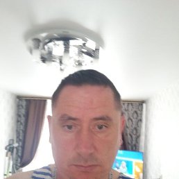 , 44 , 