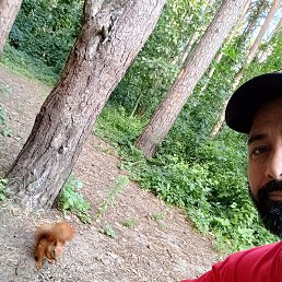 ������, ������, 38 ���