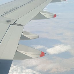 ���� ���, ������, 36 ��� - ��������� 14 ������� 2023