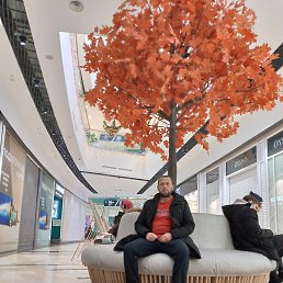 ���� ����, �����������, 40 ��� - ��������� 2 ����� 2023