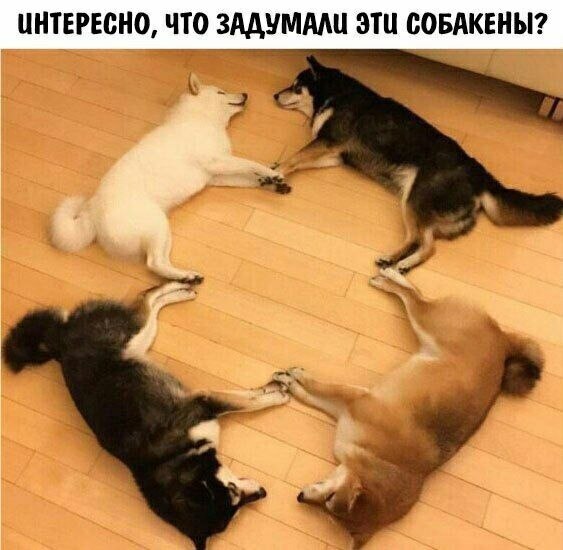    - 1  2023  20:40