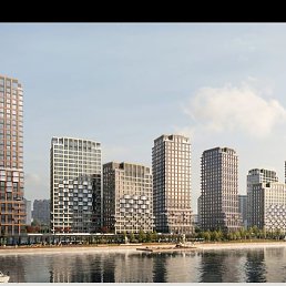 ������, ������, 33 ����