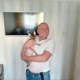 ����, ������ ��������, 53 ����