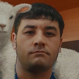 ����, ������, 39 ���