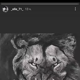 ��������, �����, 26 ���