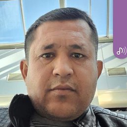 �����, �����-���������, 37 ���