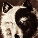 ���� ������, ������, 32 ���� - ��������� 10 ������ 2023