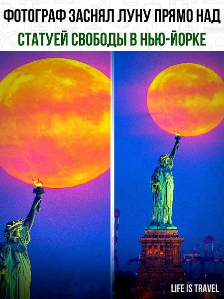 Интересно, сколько ему пришлось ждать, чтобы поймать такой момент
