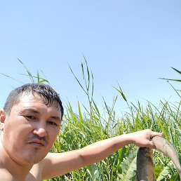 �����, ������, 37 ���