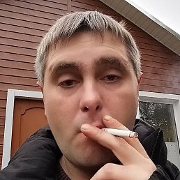 �������, �����������, 37 ���