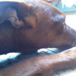 ���� �����, �����-���������, 51 ��� - ��������� 3 ����� 2023