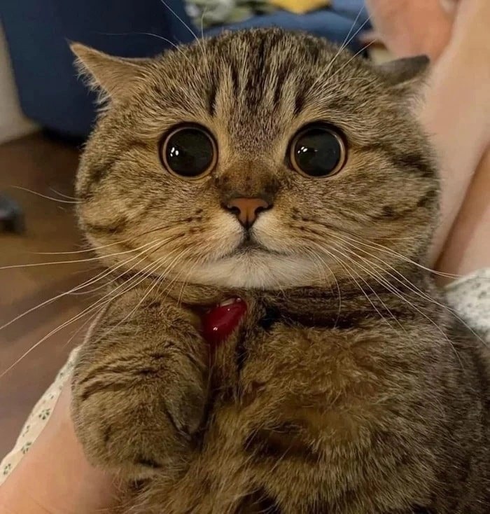 -         ? -     . -   ... - 4