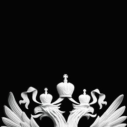 �������, ���������, 41 ���