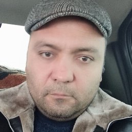 ����, �����-���������, 40 ���